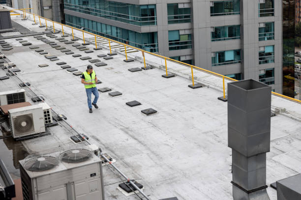 Best Cold Roofs  in Royal Palm Estates, FL