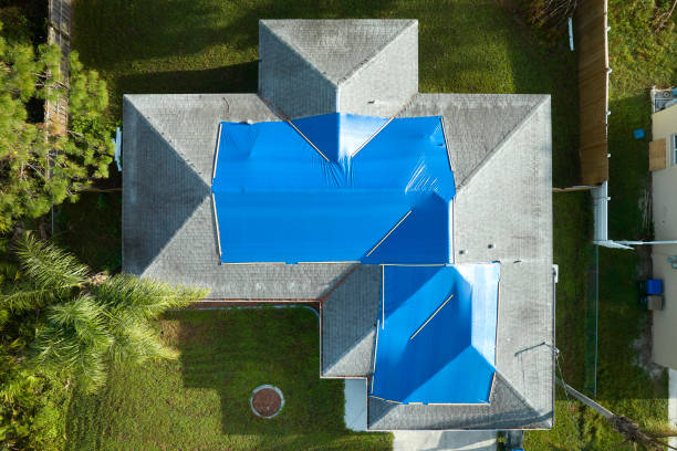 Best Rubber Roofing (EPDM, TPO)  in Royal Palm Estates, FL