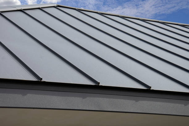 Best Asphalt Shingle Roofing  in Royal Palm Estates, FL