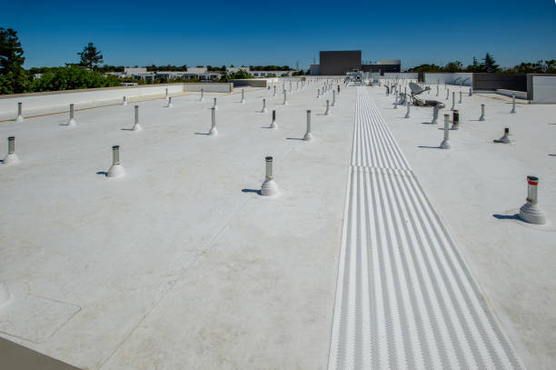 Best Roof Leak Repair  in Royal Palm Estates, FL